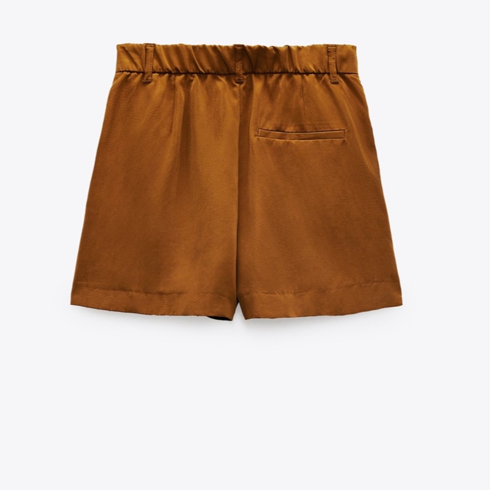 NWT Pleated Shorts— Zara - Picture 5 of 5